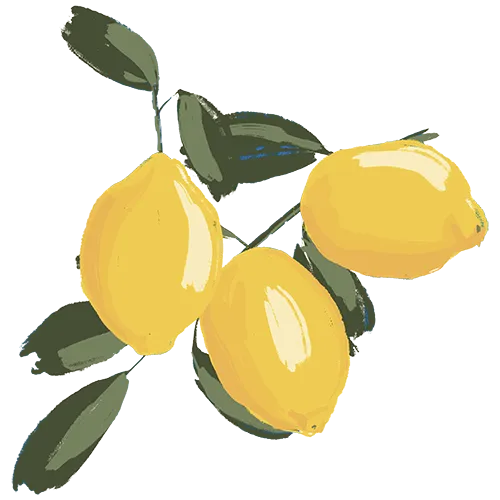 Zitrone-Genuss Symbolbild